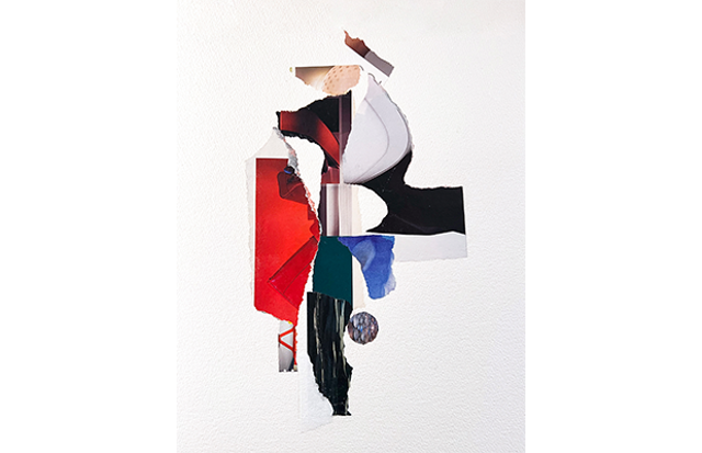 Janice McDonald